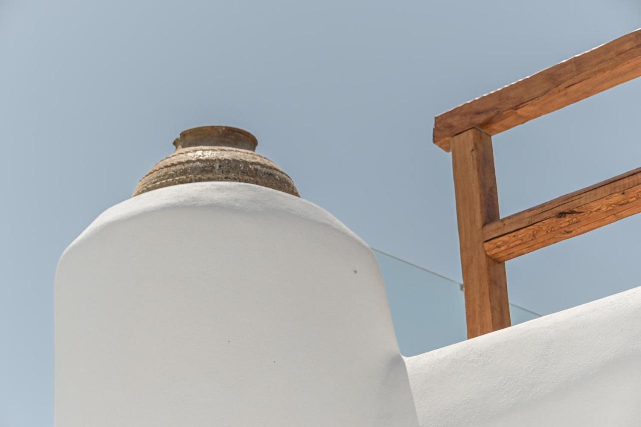 Naxian Queen Luxury Villas & Suites Agia Anna  Ngoại thất bức ảnh